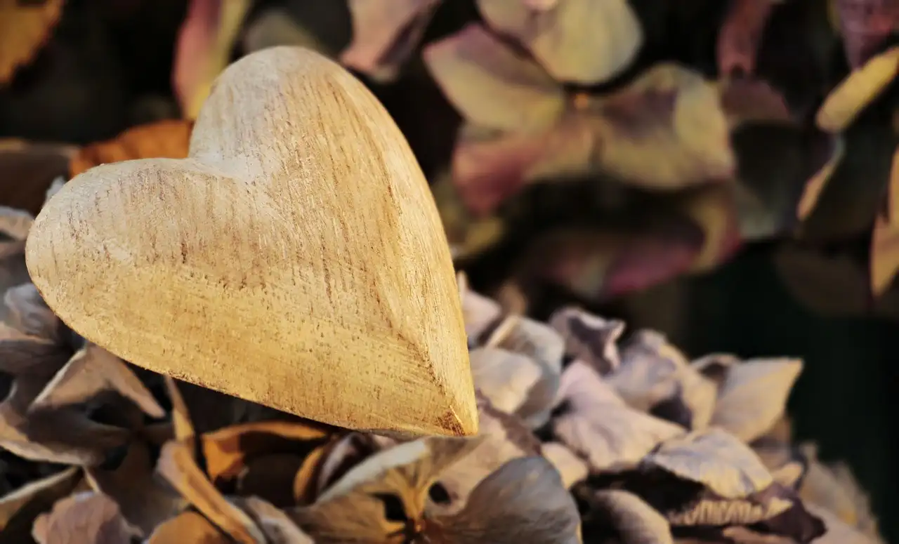Houten hart wanddecoratie