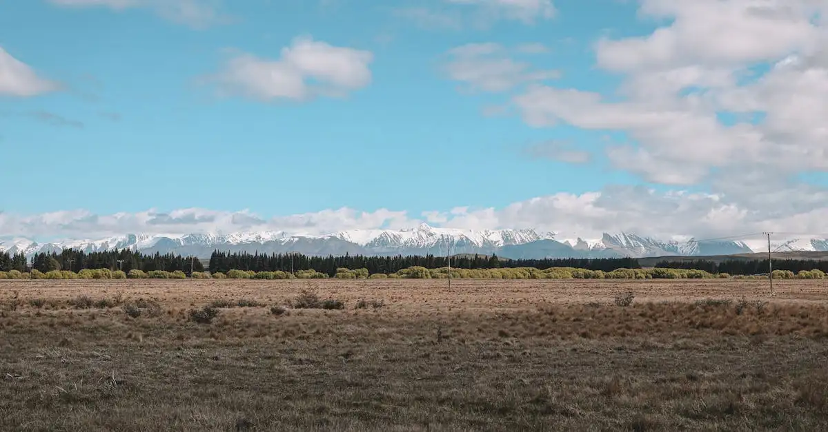 Ixxi wanddecoratie New Zealand kopen | Unieke muurdecoratie