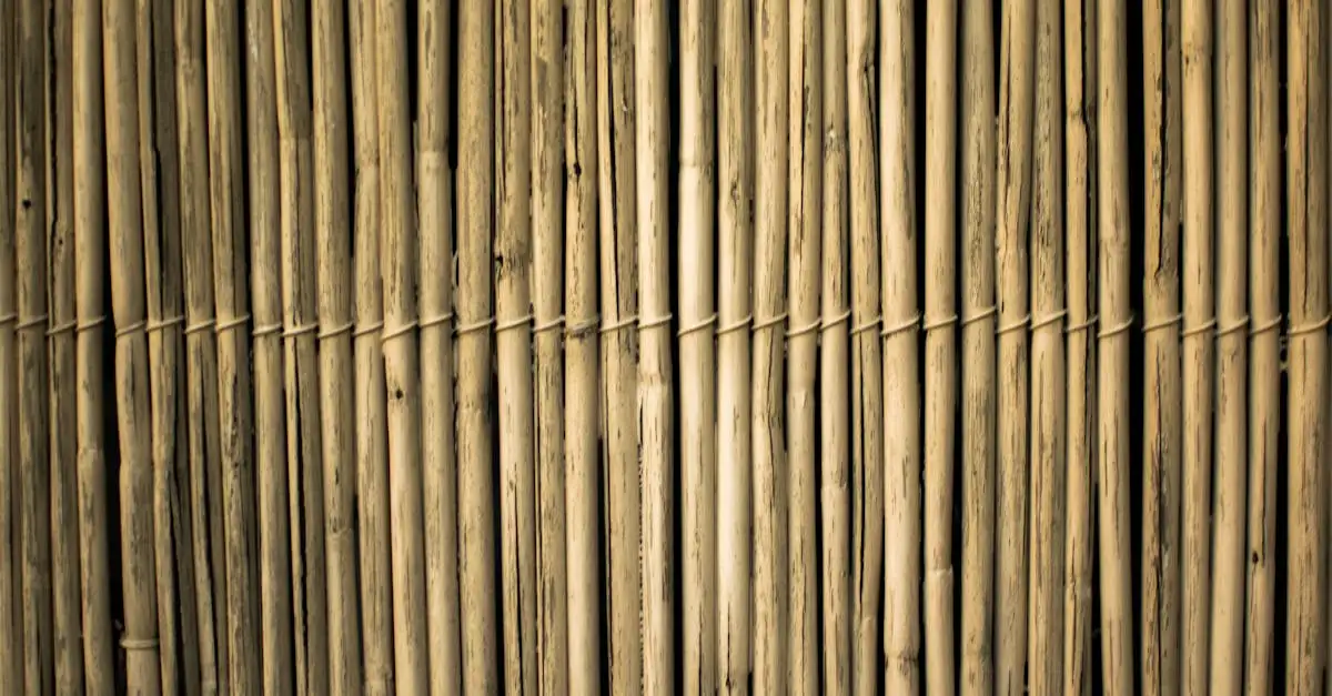 Natuurlijke wanddecoratie