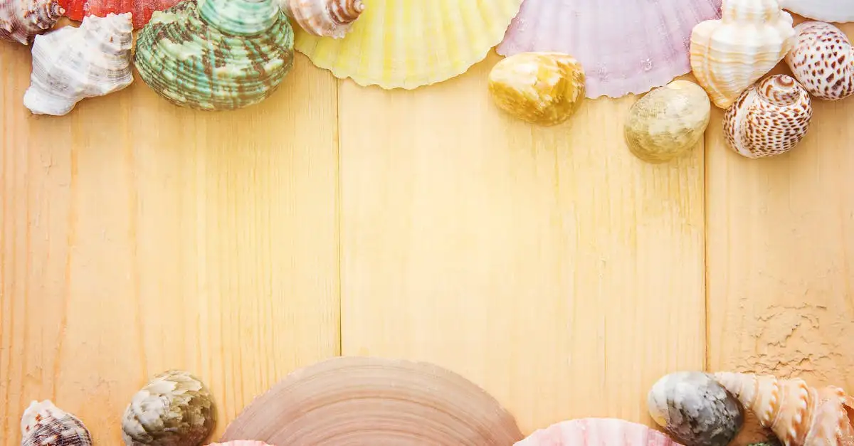 Wanddecoratie strand en zee