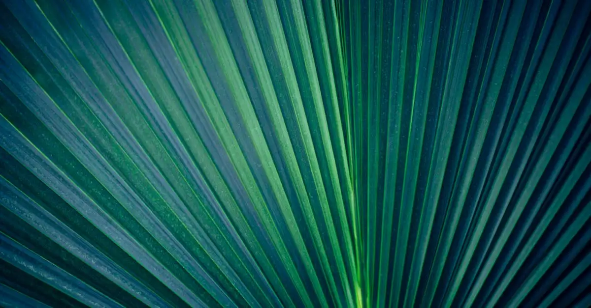 Tuin wanddecoratie palmblad