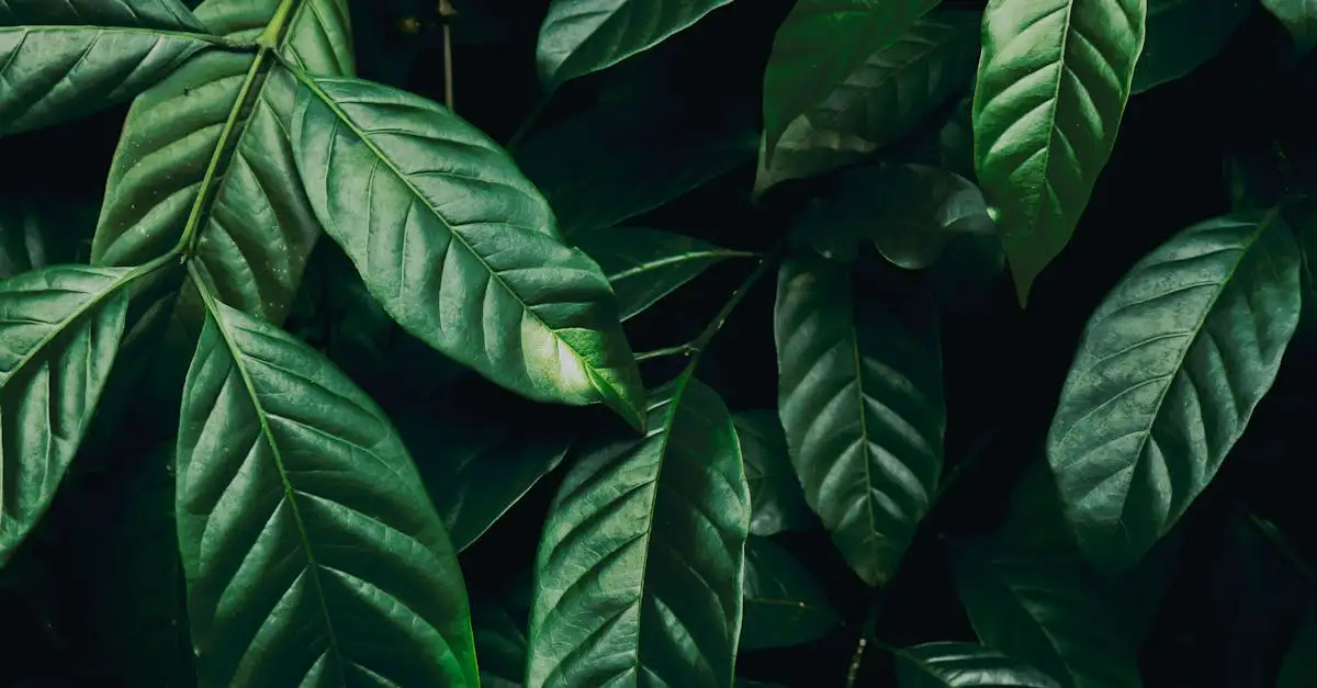 Urban jungle wanddecoratie