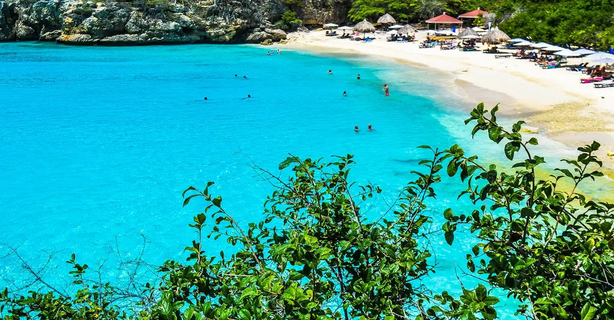 Wanddecoratie curacao