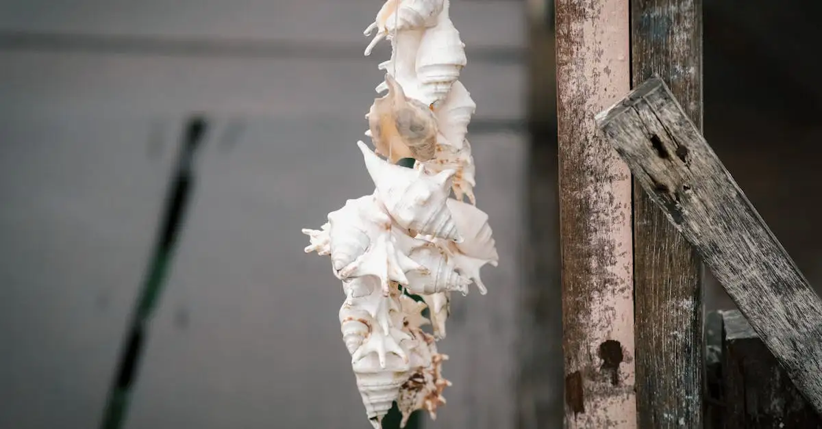 Wanddecoratie schelp