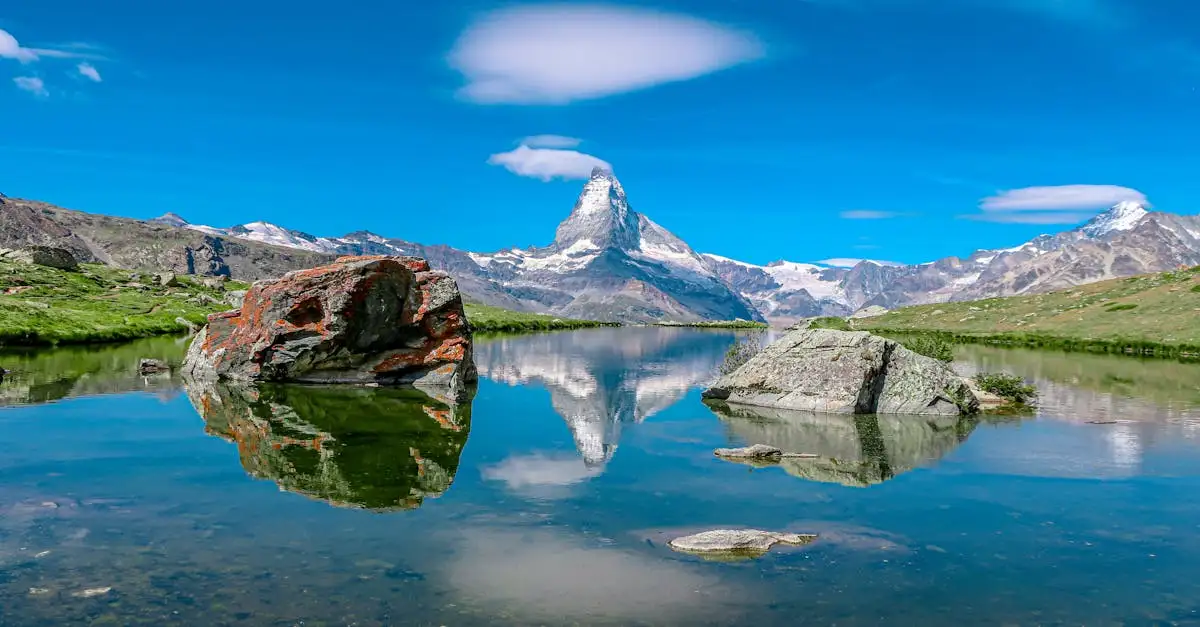 Wanddecoratie natuur
