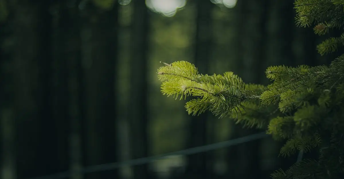 Wanddecoratie plant horizon voor een groene sfeer