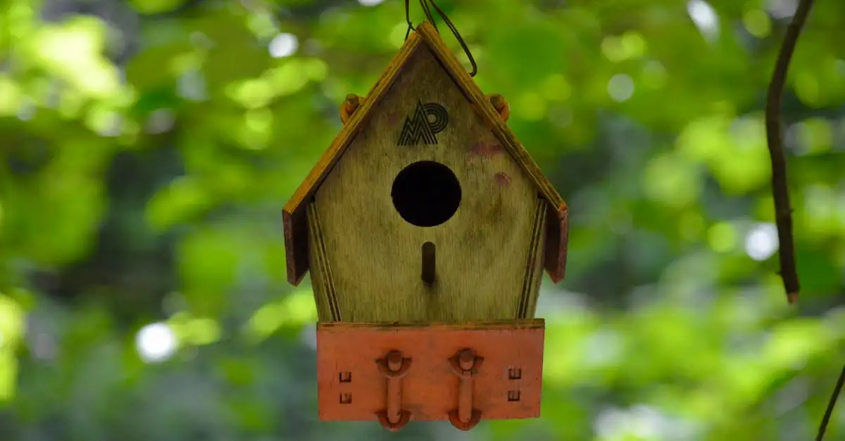 Wanddecoratie tuin vogels